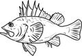 Quillback rockfish line drawing cartoon