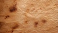 quilted elegance in maple wood texture. generative ai Royalty Free Stock Photo