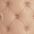 A quilted soft brown leather panel witch button. 3d rendering