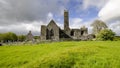 Quin Abbey and Castle