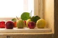 Quince and apples on the window sill Royalty Free Stock Photo