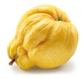 Quince bottom view isolated on white background. File contains clipping path