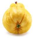 Quince bottom view isolated on white background. File contains clipping path