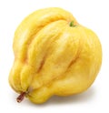 Quince bottom view isolated on white background. File contains clipping path