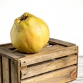 Quince on box isolated on transparent background Royalty Free Stock Photo