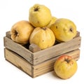 Quince on box isolated on transparent background Royalty Free Stock Photo