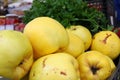 Quince. Fresh organic yellow quince background. Fruits pattern. Quince wallpaper. Healthy eating concept.