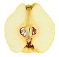 Quince fruit cross-section closeup view Royalty Free Stock Photo