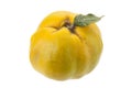 Quince fruit with leaf on white Royalty Free Stock Photo