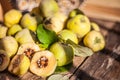 Quince fruits on a wooden background. Harvest of autumn fruits. Yellow tart hard fruit. Cut apple-quince with leaf