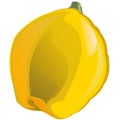 Quince. Garden fruit. Ripe. Vector illustration. Isolated object. Royalty Free Stock Photo