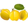 Quince. Garden fruit. Ripe. Vector illustration. Isolated object. Royalty Free Stock Photo