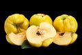 Quince ripe fruit