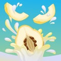 Quince splash vector Royalty Free Stock Photo