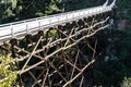 Quince Street Pedestrian Trestle Bridge Royalty Free Stock Photo