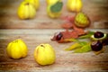 Quinces - Autumn fruit Royalty Free Stock Photo