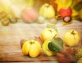 Quinces - Autumn fruit Royalty Free Stock Photo