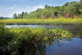 Quinebaug River Canoe Trail in East Brimfield, Massachusetts