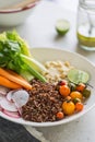 Quinoa with celery,carrot and hummus salad Royalty Free Stock Photo