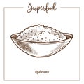 Quinoa cereal in deep bowl monochrome superfood sketch