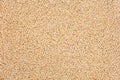 Quinoa Cereal Grains Royalty Free Stock Photo