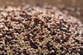 Quinoa cereal grains food Royalty Free Stock Photo