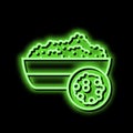 quinoa groat neon glow icon illustration