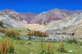 Quinoa plants and colorful mountains along the Markha Valley trek, Ladakh region, India Royalty Free Stock Photo