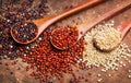 Quinoa. Red, black and white quinoa grains in a wooden spoons. Chenopodium quinoa