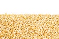 Quinoa seed grain close up