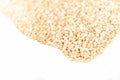 Quinoa seed grain close up