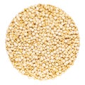 Quinoa seed grain close up