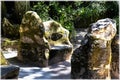 Quinta da Regaleira, the misterious castle and park. Sintra. Portugal