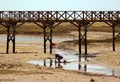 People collecting shells in the dried sand at low tide under the wooden bridge in the Ria Formosa natural park area