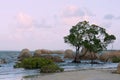 Quintell Beach at Sunset Royalty Free Stock Photo