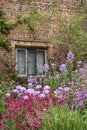 Quintessential vibrant English country garden scene landscape wi