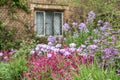 Quintessential vibrant English country garden scene landscape wi