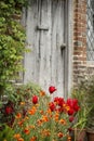 Quintessential vibrant English country garden scene landscape wi Royalty Free Stock Photo