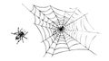 Spider on Web: Classic Halloween insect motif. vector design Generative AI Royalty Free Stock Photo
