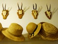 Quirky Close up of straw hats on shelf and deer horns on wall in home Royalty Free Stock Photo