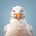 Quirky And Expressive 3d Render Of A White Seagull