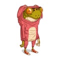 Quirky Frog Dressed as a Rabbit, isolated vector illustration. A toad in a pink rabbit costume. Weird anthropomorphic frog