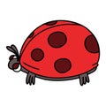 quirky hand drawn cartoon ladybird