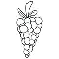 quirky line drawing cartoon bunch of grapes