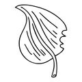quirky line drawing cartoon munched leaf Royalty Free Stock Photo