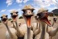 Quirky Ostrich selfie funny head. Generate Ai Royalty Free Stock Photo