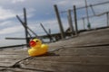 Quirky Quacks: Low-angle Shot of a Yellow Duck Toy on Wooden Floor