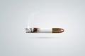 Quit Tobacco, Cigarette and Lungs Creative Concept and Concept of No smoking Photo