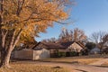 Sidewalk in residential neighborhood with colorful autumn leaves near Dallas