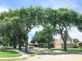 Quite neighborhood with tall trees canopy, pathway and single family houses lined up Royalty Free Stock Photo